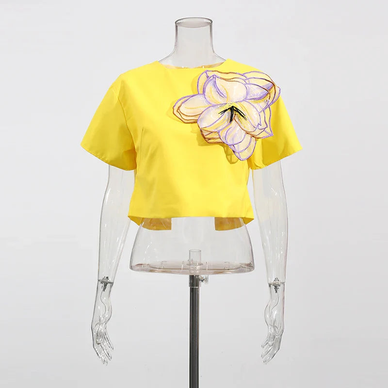 Conjunto Florencia